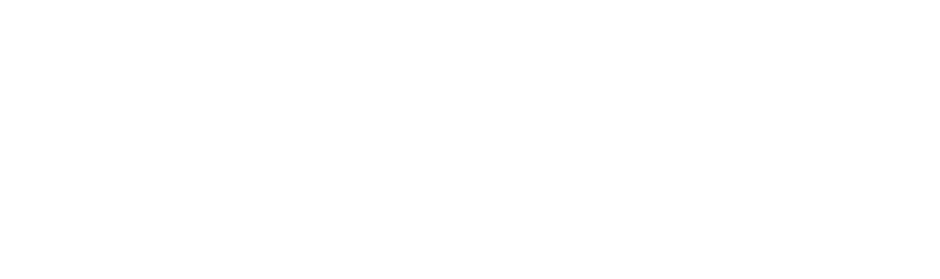 RBU Unternehmensberatung